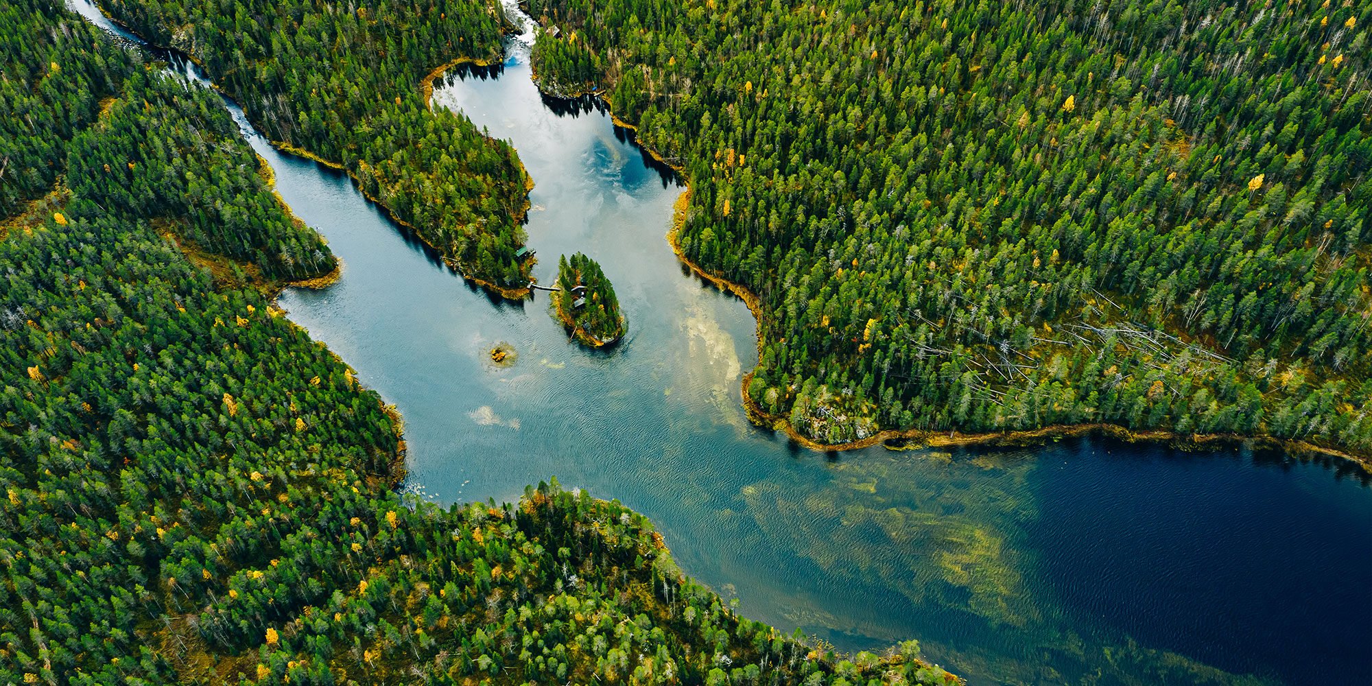 Aerial view of green forests and blue lakes and rivers in summer