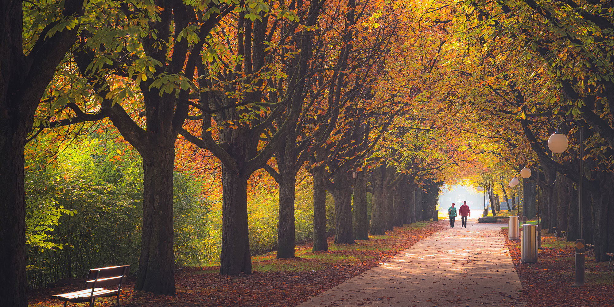 A couple enjoy a stroll on a a crisp autumn day