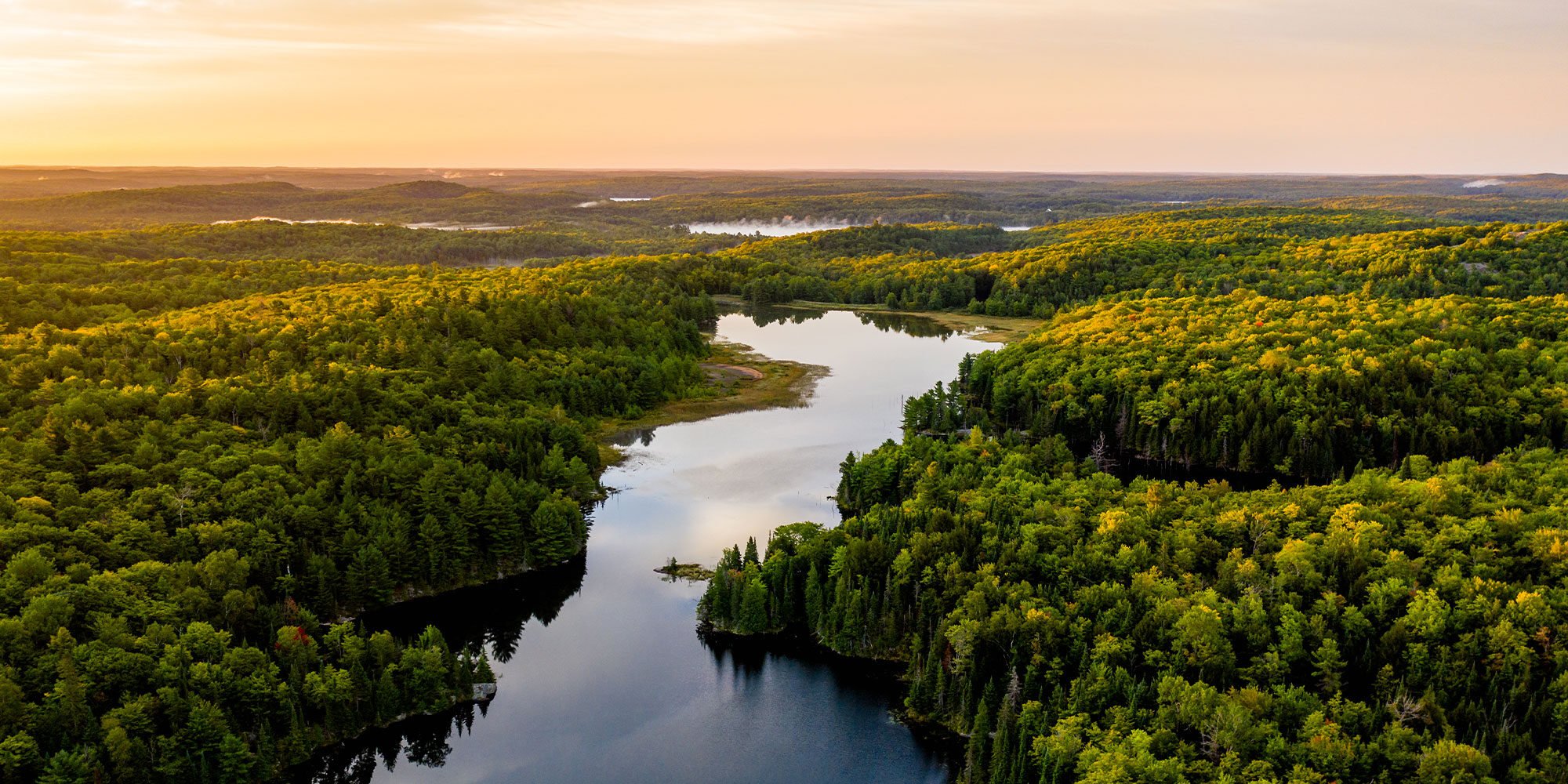 Lake in warm morning light from an aerial view